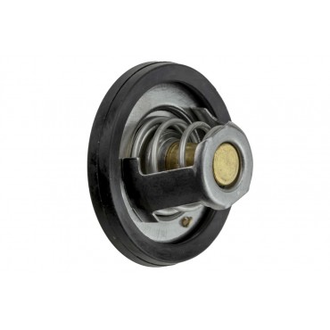 Thermostat d'Eau Pour Ford Capri II III Consul Escort I II Fiesta 21200BX000