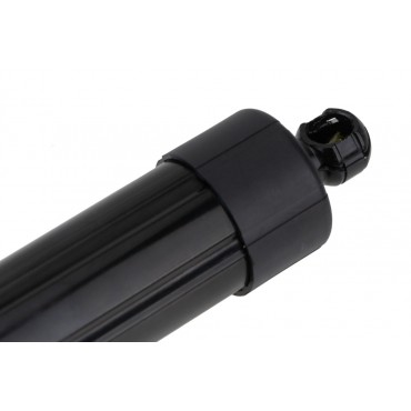 Vérin de Coffre Arrière Pour Jaguar Xj 2009-2019 C2D3498