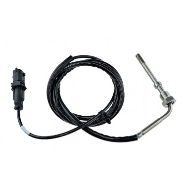 Sonde Température des Gaz...