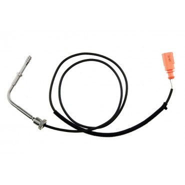 Sonde Température des Gaz...