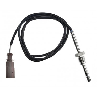 Sonde Température des Gaz...