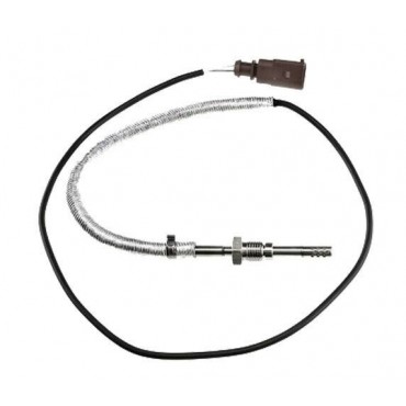 Sonde Température des Gaz...