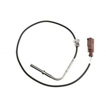 Sonde Température des Gaz...
