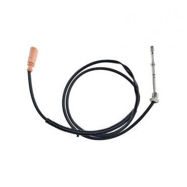 Sonde Température des Gaz...