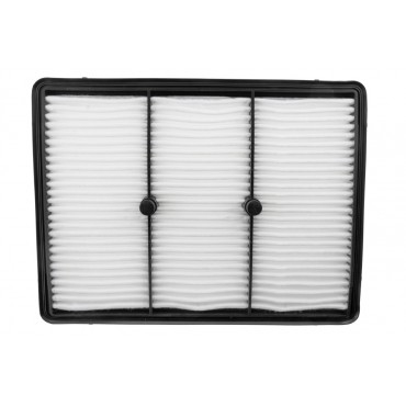 Filtre à Air Pour Hyundai Ioniq Kia Niro I 1.6 GDI 2016-2022 28113G2100