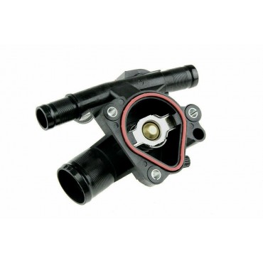 Boitier + Thermostat d'eau...