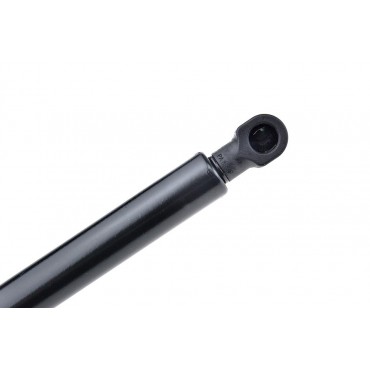 Vérin de Coffre Pour Citroën C5 III 2008-2017 8731R7