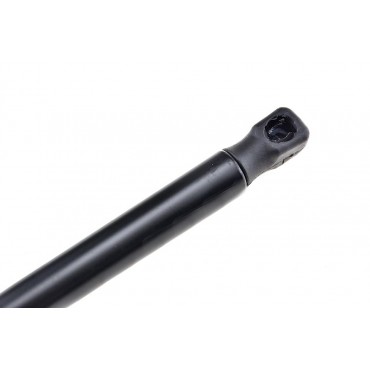 Vérin de Coffre Pour Ford Focus I 1999-2005 1071669 1093705 1079800