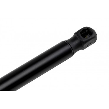 Vérin de Coffre Pour Ford C-Max II 2010-2019 AM51R406A10AB AM51R406A10AA