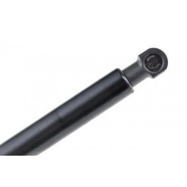 Vérin de Coffre Pour Fiat Multipla Peugeot 207 51794446 46514867