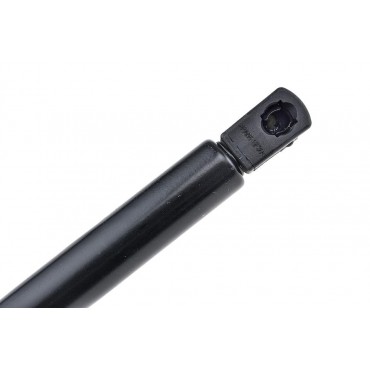 Vérin de Coffre Pour Hyundai Santa Fé II 2006-2012 817702B010 817702B000