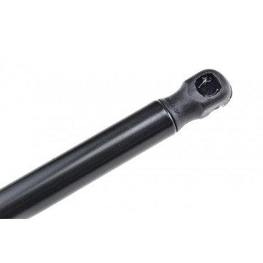 Vérin de Coffre Pour Mini 2006-2013 51247148902