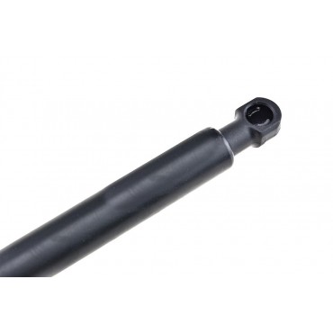 Vérin de Coffre Pour Fiat Multipla Peugeot 207 8731Q0