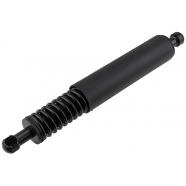 Vérin de Coffre Pour Porsche Cayenne 2002-2010 95551255006 95551255001