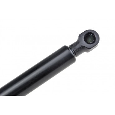 Vérin de Coffre Pour Renault Laguna II 2001-2007 8200003020