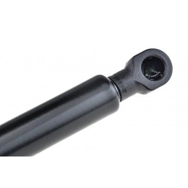 Vérin de Coffre Pour Renault Laguna II 2001-2007 8200000902