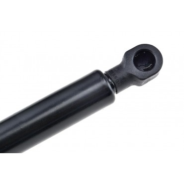 Vérin de Coffre Pour Renault Laguna III 2007-2015 844300001R