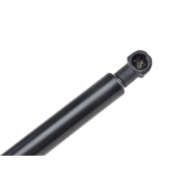 Vérin de Coffre Pour Renault Modus Grand Modus 2004-2011 8200219322