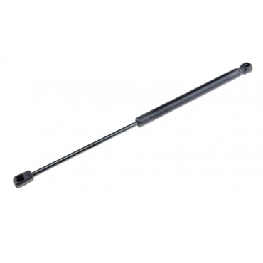 Vérin de Coffre Pour Renault Clio IV 2012-2021 844307620R