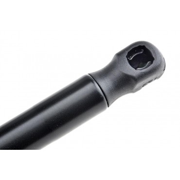 Vérin de Coffre Pour Renault Clio IV 2012-2021 844307620R