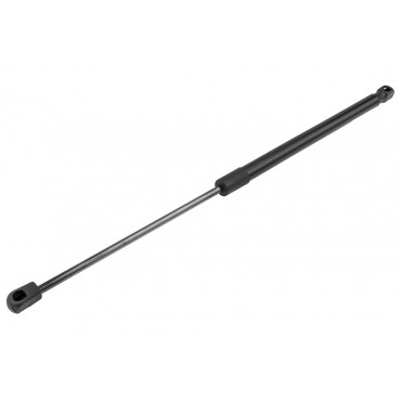 Vérin de Coffre Pour Renault Grand Scénic II Scénic II 8200377789 8200119500