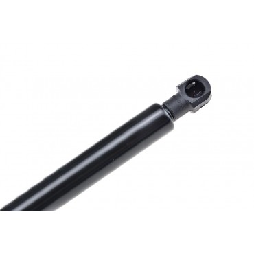 Vérin de Coffre Pour Toyota Auris 2013-2018 6895002140 6896002130