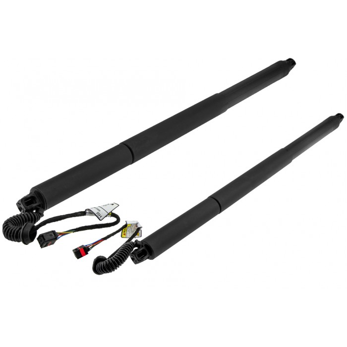 x2 Vérin de Coffre Gauche+Droit Pour Skoda Superb III 3V9827851B 3V9827851E