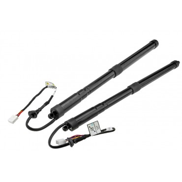 x2 Vérin de Coffre Gauche+Droit Pour Toyota Rav 4 V 6892042020 6891042060