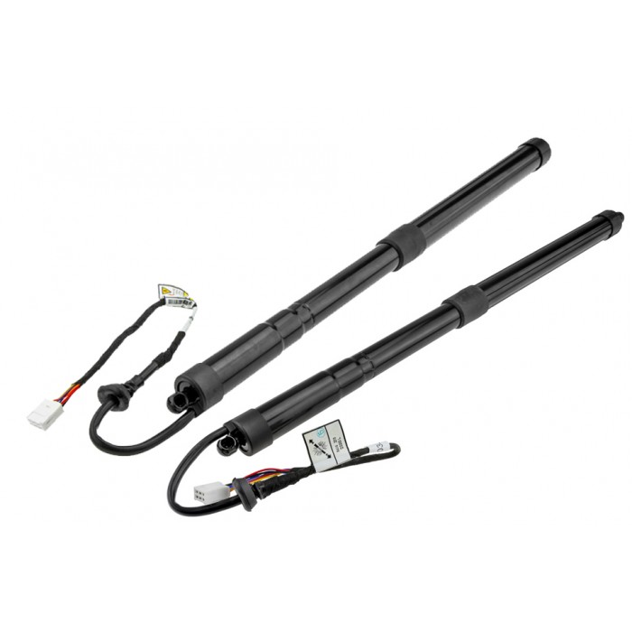 x2 Vérin de Coffre Gauche+Droit Pour Toyota Rav 4 V 6892042020 6891042060