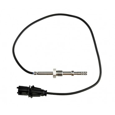 Sonde Température des Gaz...