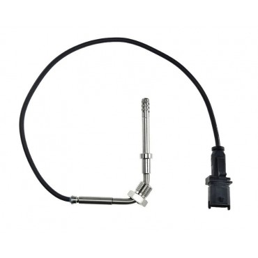 Sonde Température des Gaz...