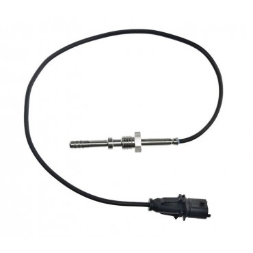 Sonde Température des Gaz...