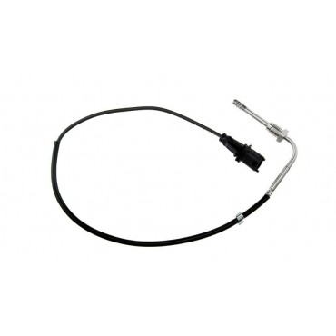 Sonde Température des Gaz...