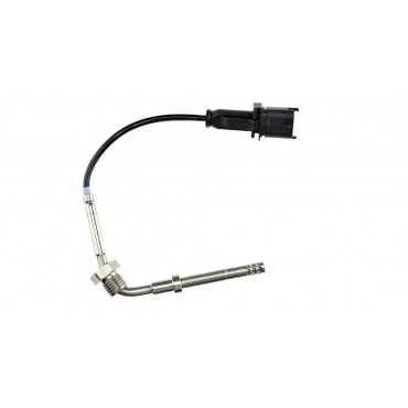 Sonde Température des Gaz...