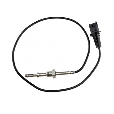 Sonde Température des Gaz...