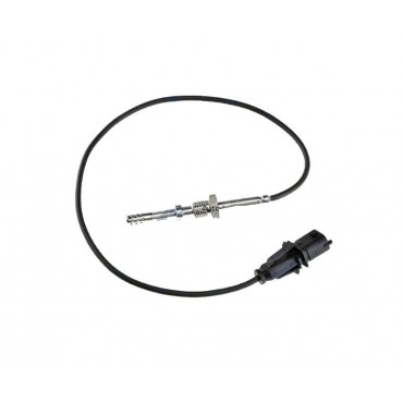 Sonde Température des Gaz...