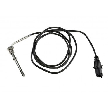 Sonde Température des Gaz...