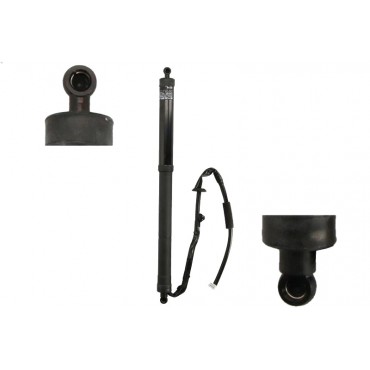 Vérin Hayon de Coffre Droit Pour Toyota Rav 4 IV 2012-2019 6891009013 6891009015