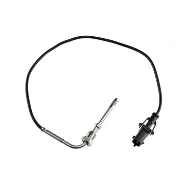 Sonde Température des Gaz...
