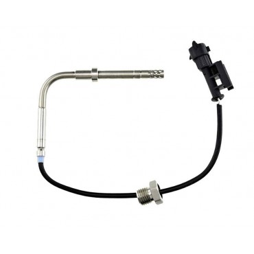 Sonde Température des Gaz...