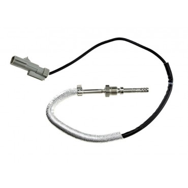 Sonde Température des Gaz...