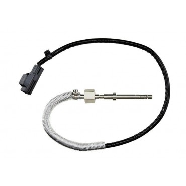 Sonde Température des Gaz...
