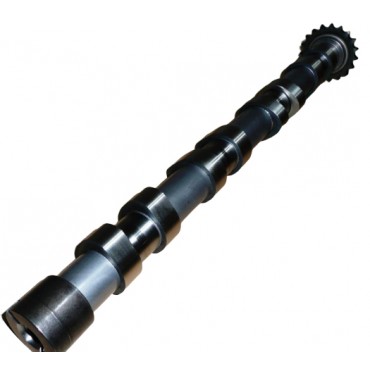 Arbre à Cames Pour Citroën C4 C5 C8 Fiat Scudo Ulysse Ford C-Max 0801AC