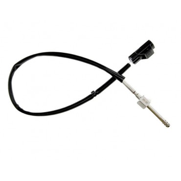 Sonde Température des Gaz...