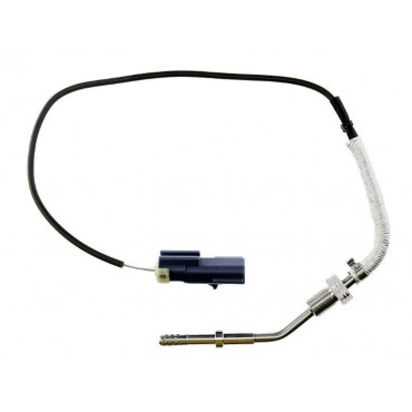 Sonde Température des Gaz...