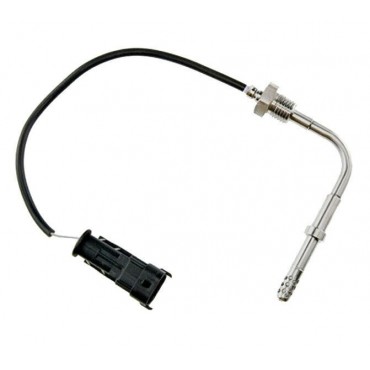 Sonde Température des Gaz...