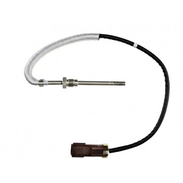 Sonde Température des Gaz...