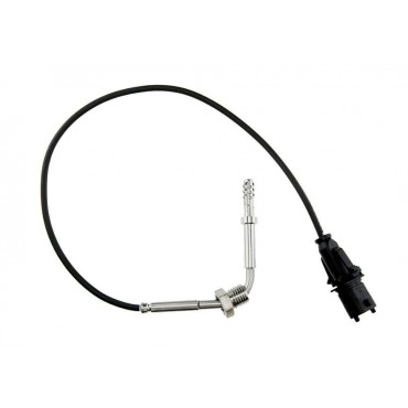 Sonde Température des Gaz...