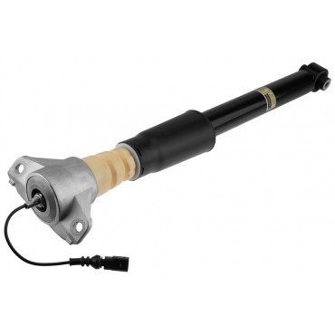 Amortisseur Arrière Pour Audi Q5 2016-2021 80A616025H 80A616051AA 80A616025Q