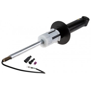 Amortisseur Arrière Pour Porsche Cayenne 2010-2017 7P5513029H 7P5513029AC